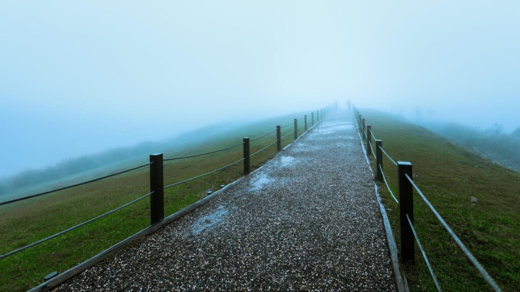 Psychic reading for future and life path guidance showing direction and clarity